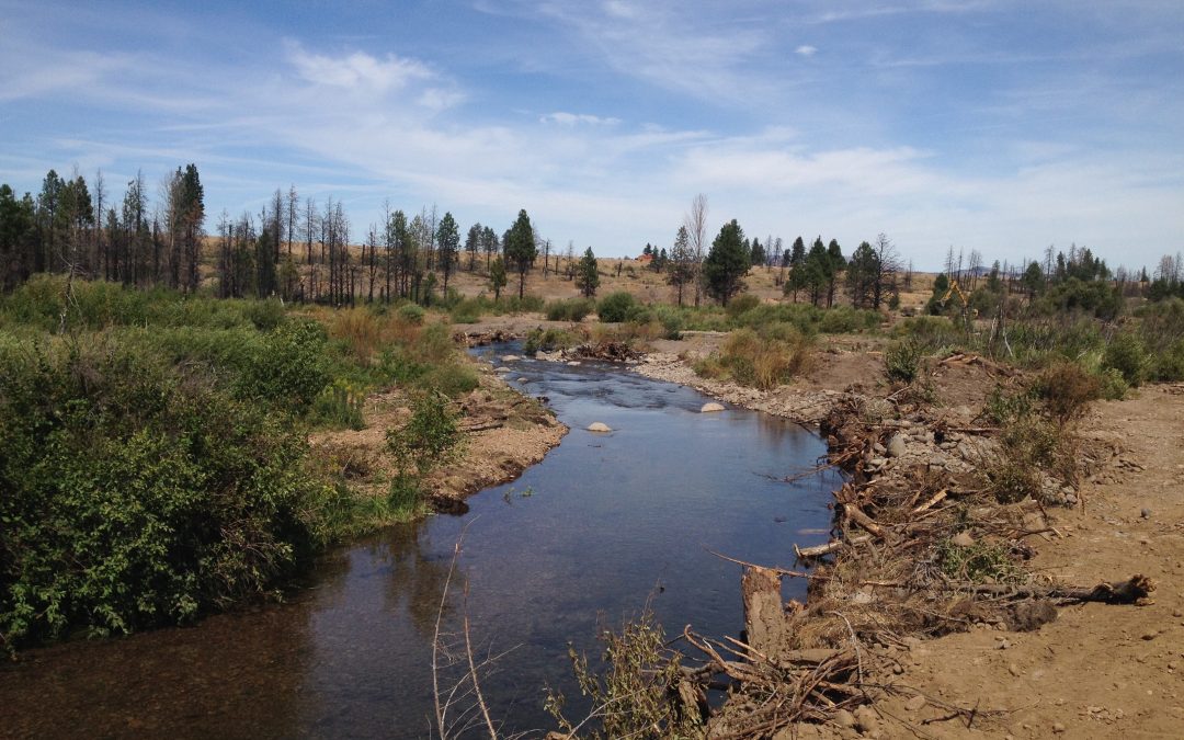 Mill Creek Restoration Project